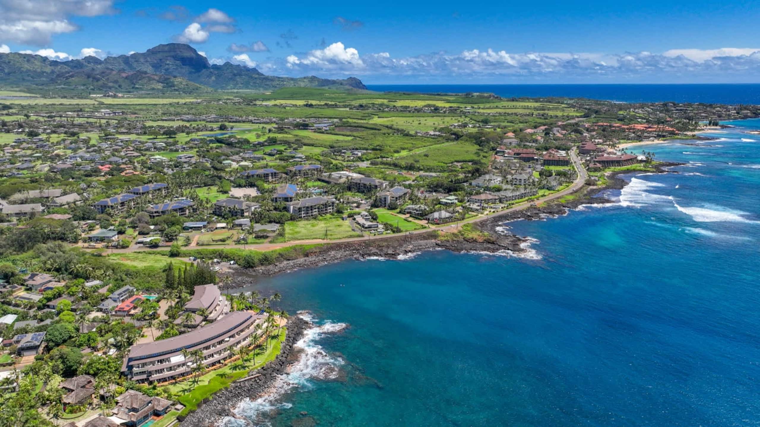 Condo in Koloa · ★4.8 · 1 bedroom · 3 beds · 1 private bath - Image 47