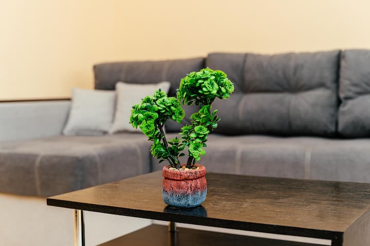 Spacious Central 2br Apartment - Chișinău