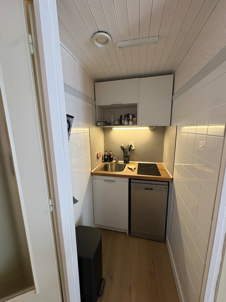 Appartement Le Renard Centre Des Rousses - Les Rousses