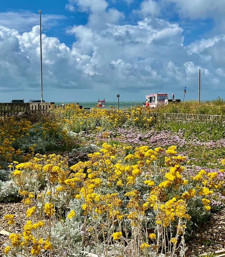 'Salt'
Front Line Two Bedroom Beach House - Seaford