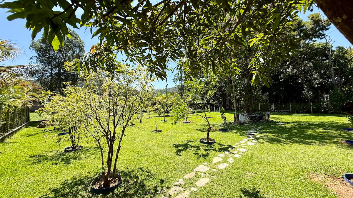 Foto 44