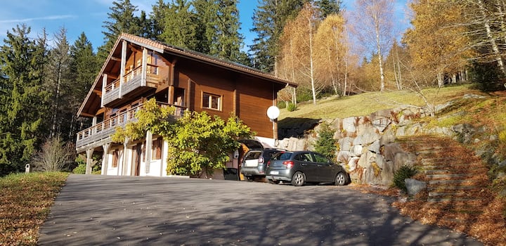 Appartement Sur Le Site Des Bas-rupts - Gérardmer