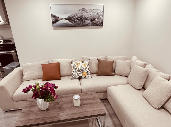 Modern 2-bed Walkout Basement Near 401/404 Hwy - Toronto