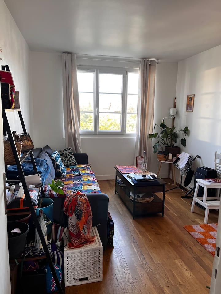 42 M Carrés Balcon Métro 8 Maisons-alfort - Maisons-Alfort