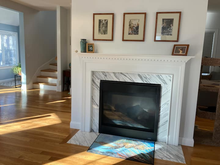 Sun-filled Davis Sq Retreat W/ Parking - Somerville, MA