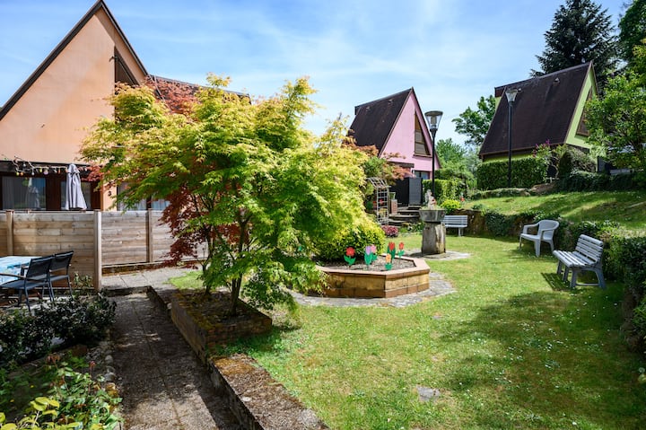 Gîte Les Sapins Bleus - Kaysersberg - Kaysersberg