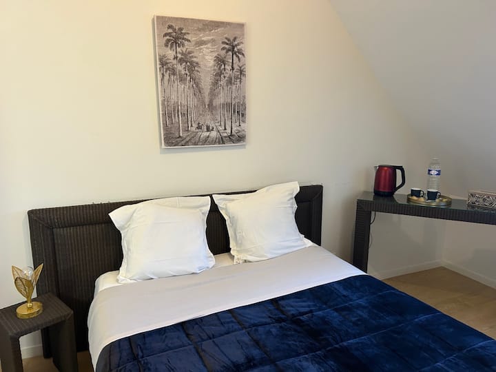 Chambre 1 Auberge Des Amis De Diane - Aubigny-sur-Nère