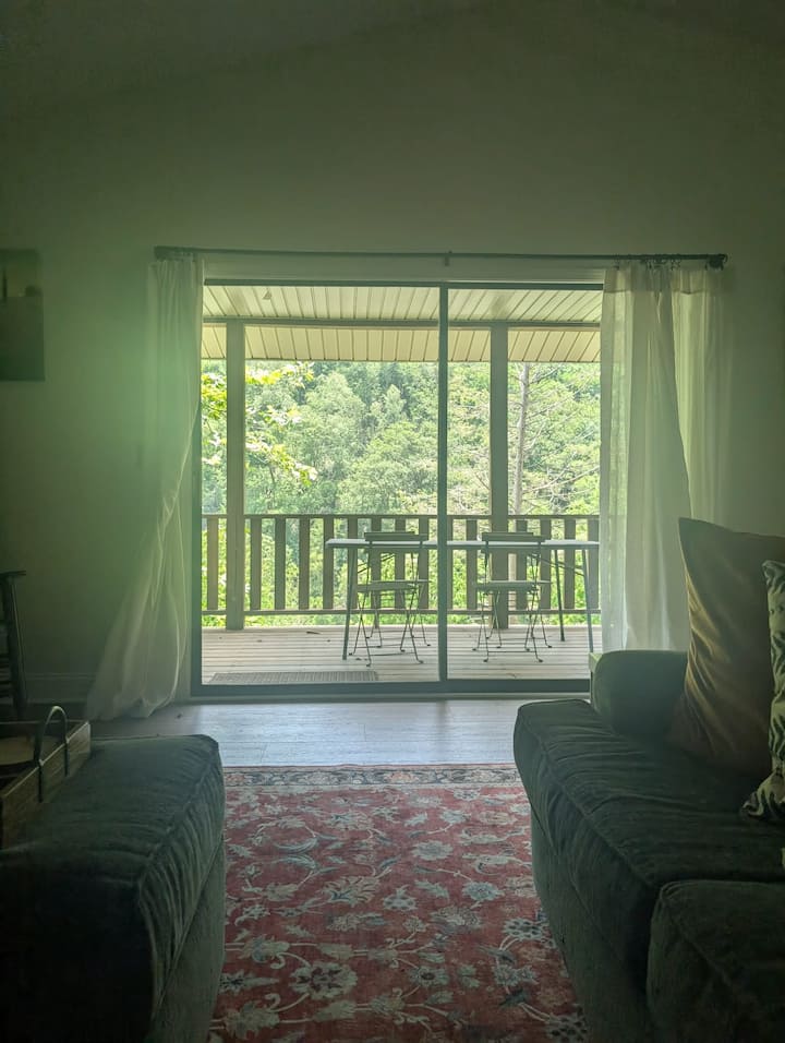 Updated Chimney Rock Cabin | Views & River Sounds - Chimney Rock, NC