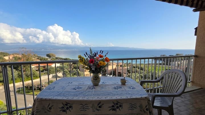 Charmant T2 Avec Terrasse – Route Des Sanguinaires - Ajaccio