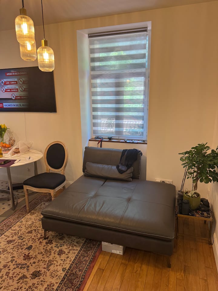 Appartement Cosy Sous La Citadelle - Besançon