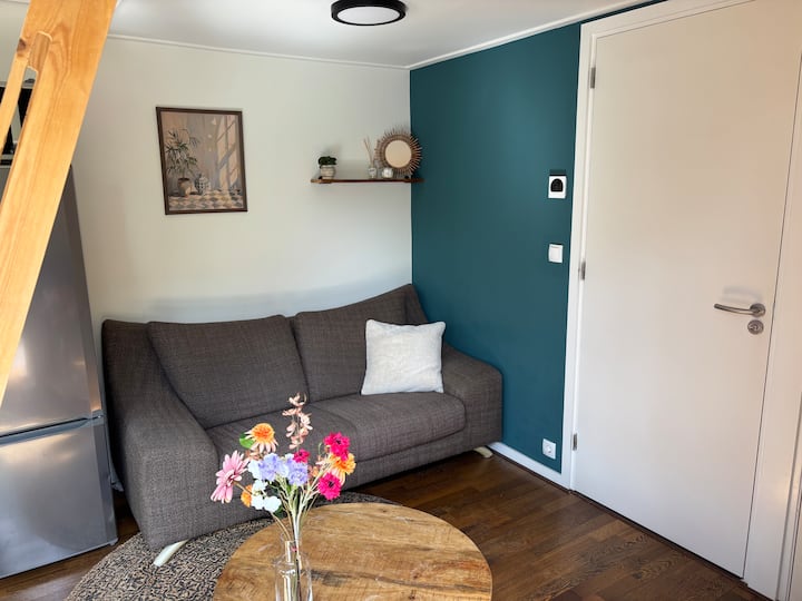 Tiny House De Pruimenboom - Apeldoorn