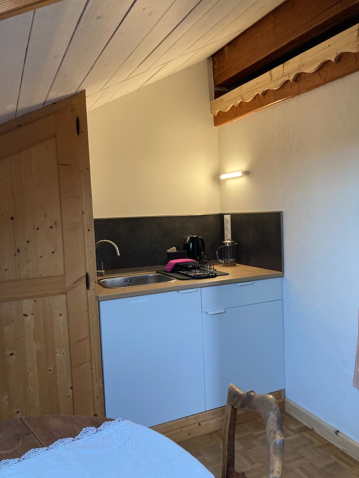 Studio Cosy Entre Lac Et Montagne - Évian-les-Bains