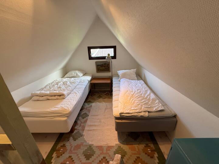 Habitación 6