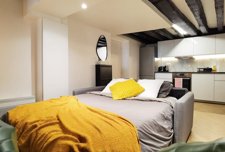Parisian Apt In Paris Center For 6/walk Everywhere - París