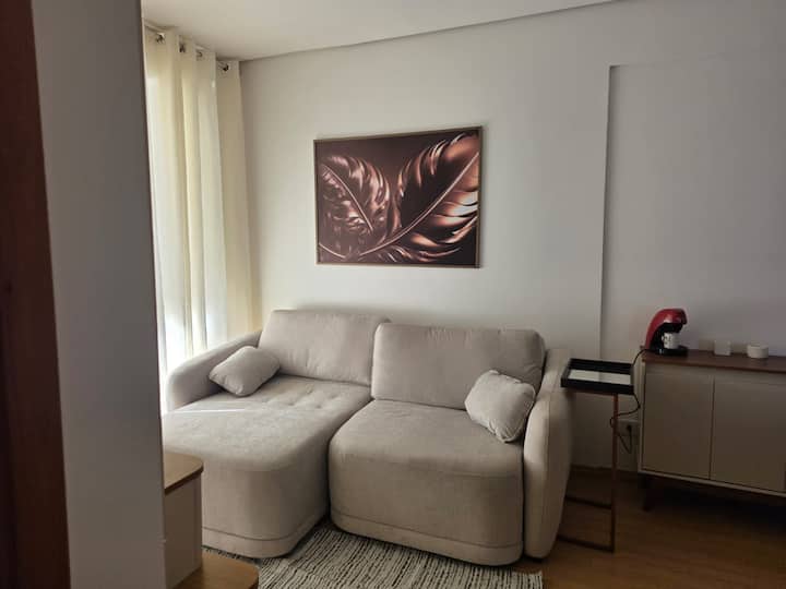 Apto Central  Suíte, E Sofa Cama, Wifii, Sacada. - Londrina