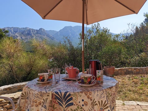 Top performing Airbnb: Marseille, the countryside in the city in Marseille