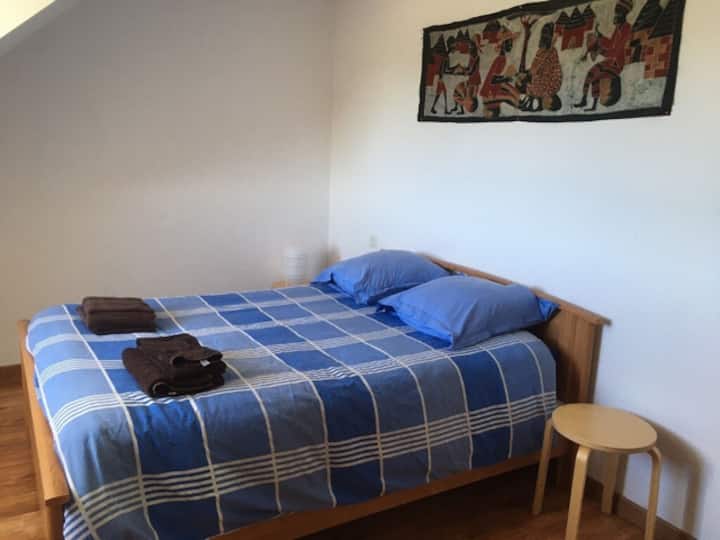 Habitación 1