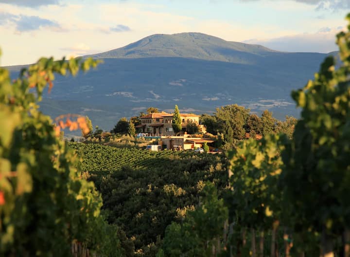 Terralsole Guest House - Montalcino