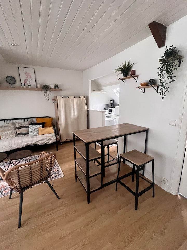 Studio Cosy Face Gare Centre-ville • Plage 10 Min - Saint-Brieuc