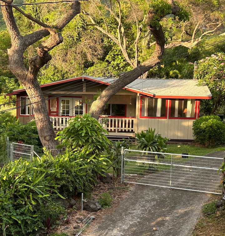 Red Ginger Hale At Magical Kealakekua Bay - Captain Cook, HI