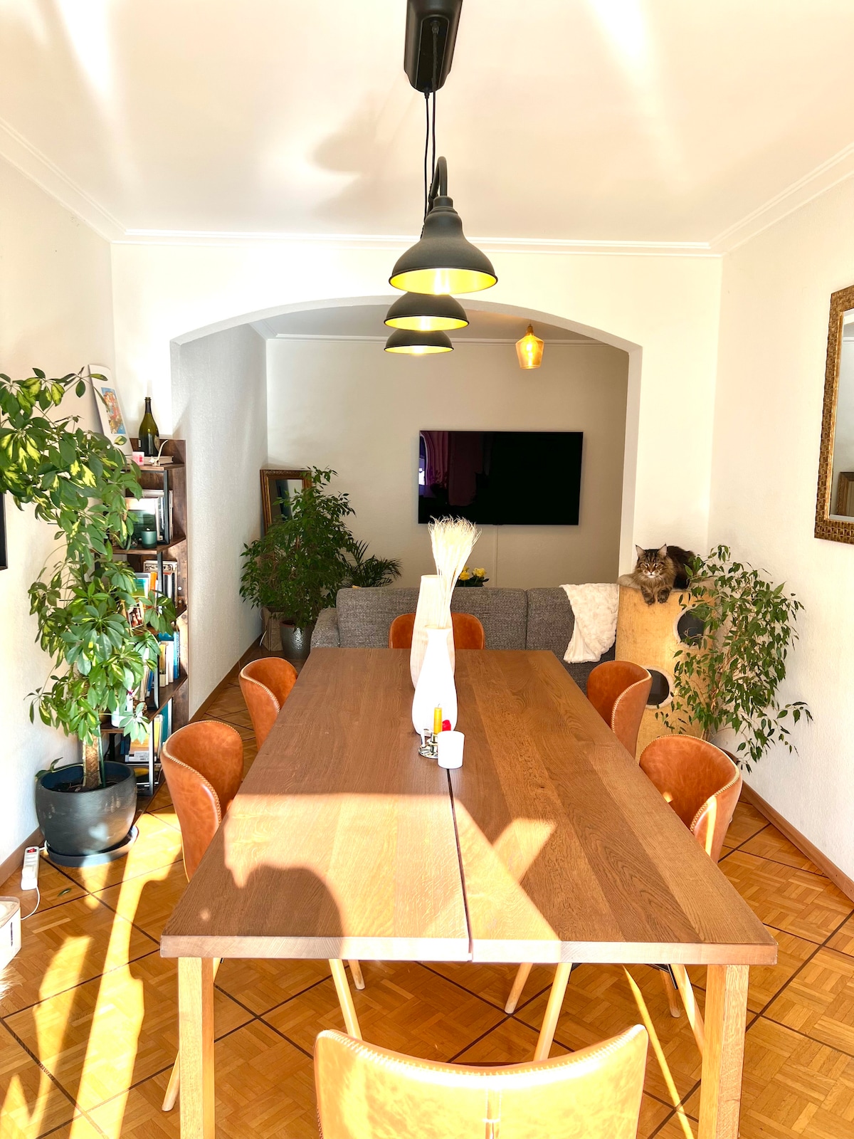 A spacious dining area is illuminated by pendant lights, featuring a long wooden table surrounded by several chairs. Lush green plants are positioned strategically around the room, adding a natural touch. A cozy sofa is visible in the background, complemented by a decorative wall mirror.