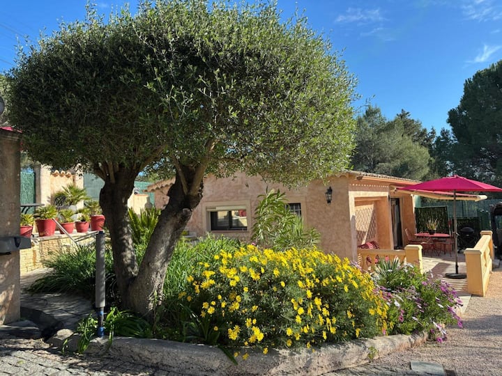 Bibi - Fréjus