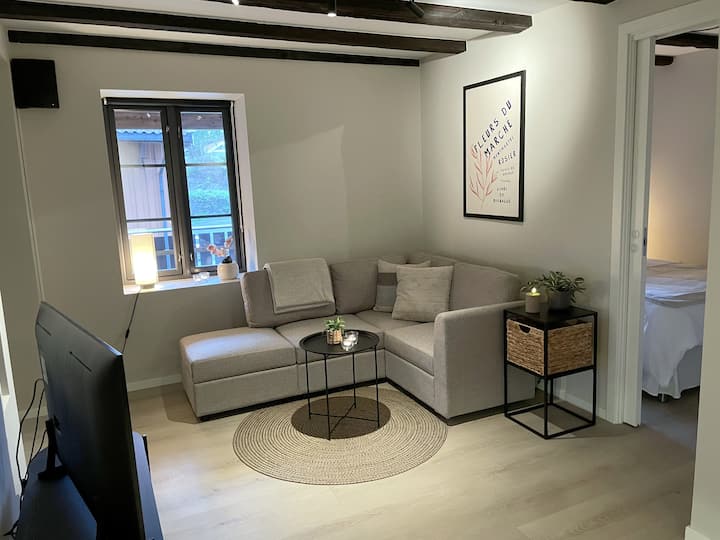 Moderne Renovert Leilighet I Kongsberg Sentrum - Kongsberg