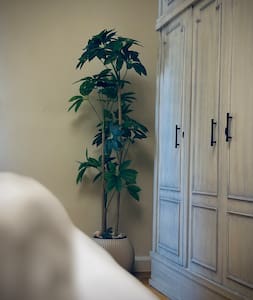 Sun-lit Elegant Home in a Quiet Mohandessin Spot — 4