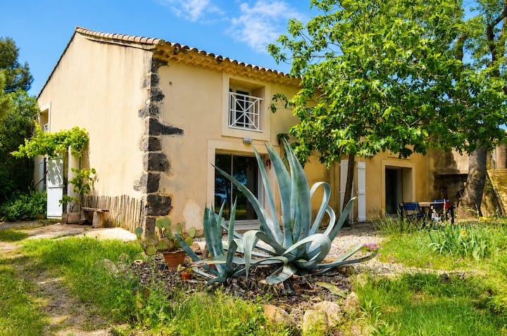 Au Bord De Thau : Maison De Charme Et Parc - Mèze