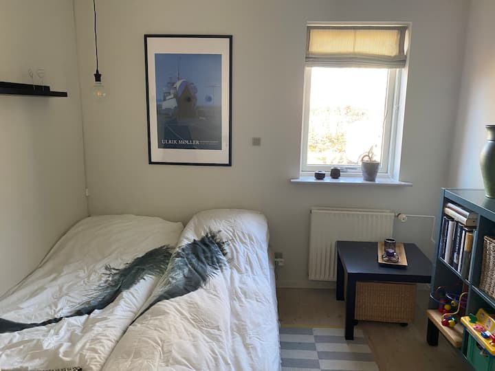 Quarto 1
