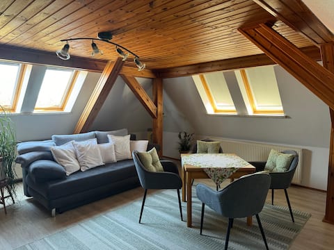 Top Airbnb: Vacation apartment in Pirna in Pirna