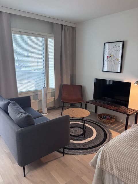 Top performing Airbnb: Cozy studio with sauna in the center in Mikkeli