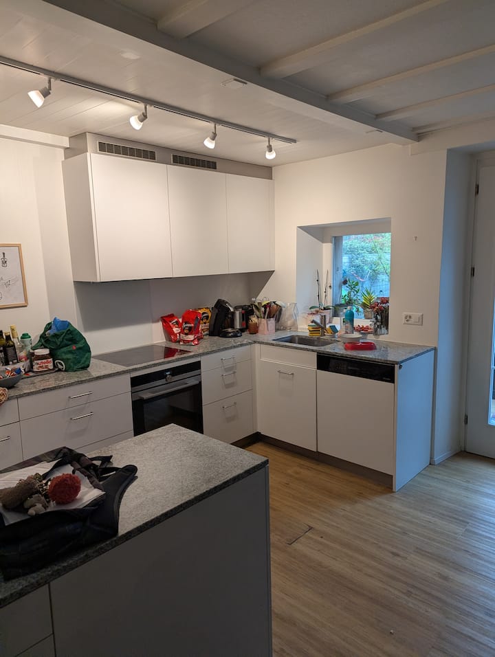 Chambres D'hôtes Charmantes Dans Très Jolie Maison - Nyon