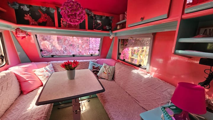 De Roze Caravan - Reeuwijk