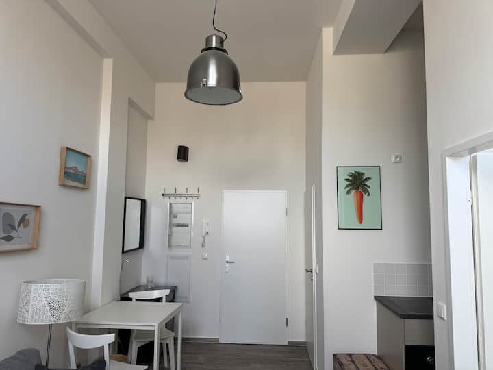 Apartment Loft Wohnung Enke Fabrik Zentrum 5 - Cottbus
