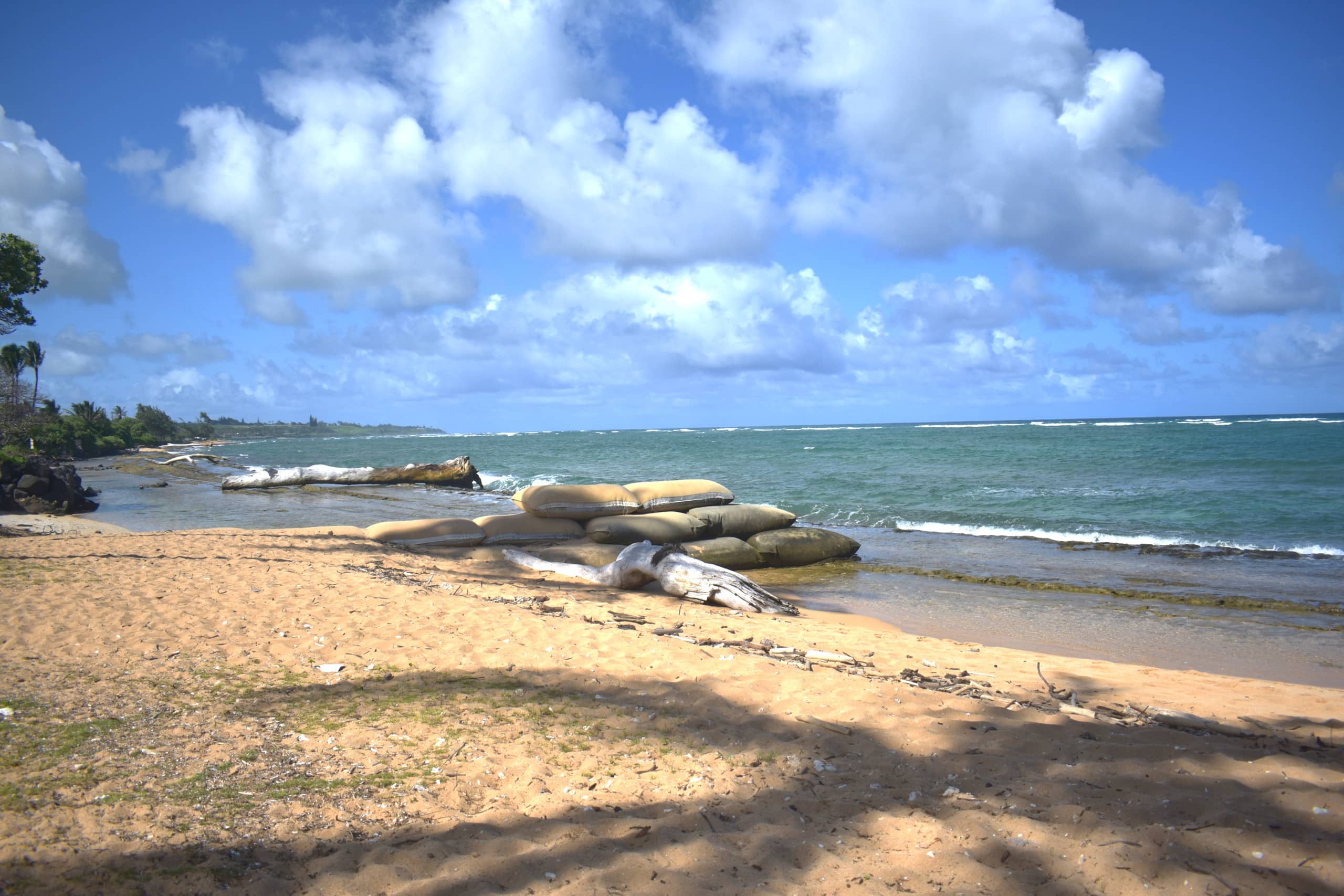 Condo in Kapaa · ★5.0 · 2 bedrooms · 4 beds · 1 private bath - Image 31