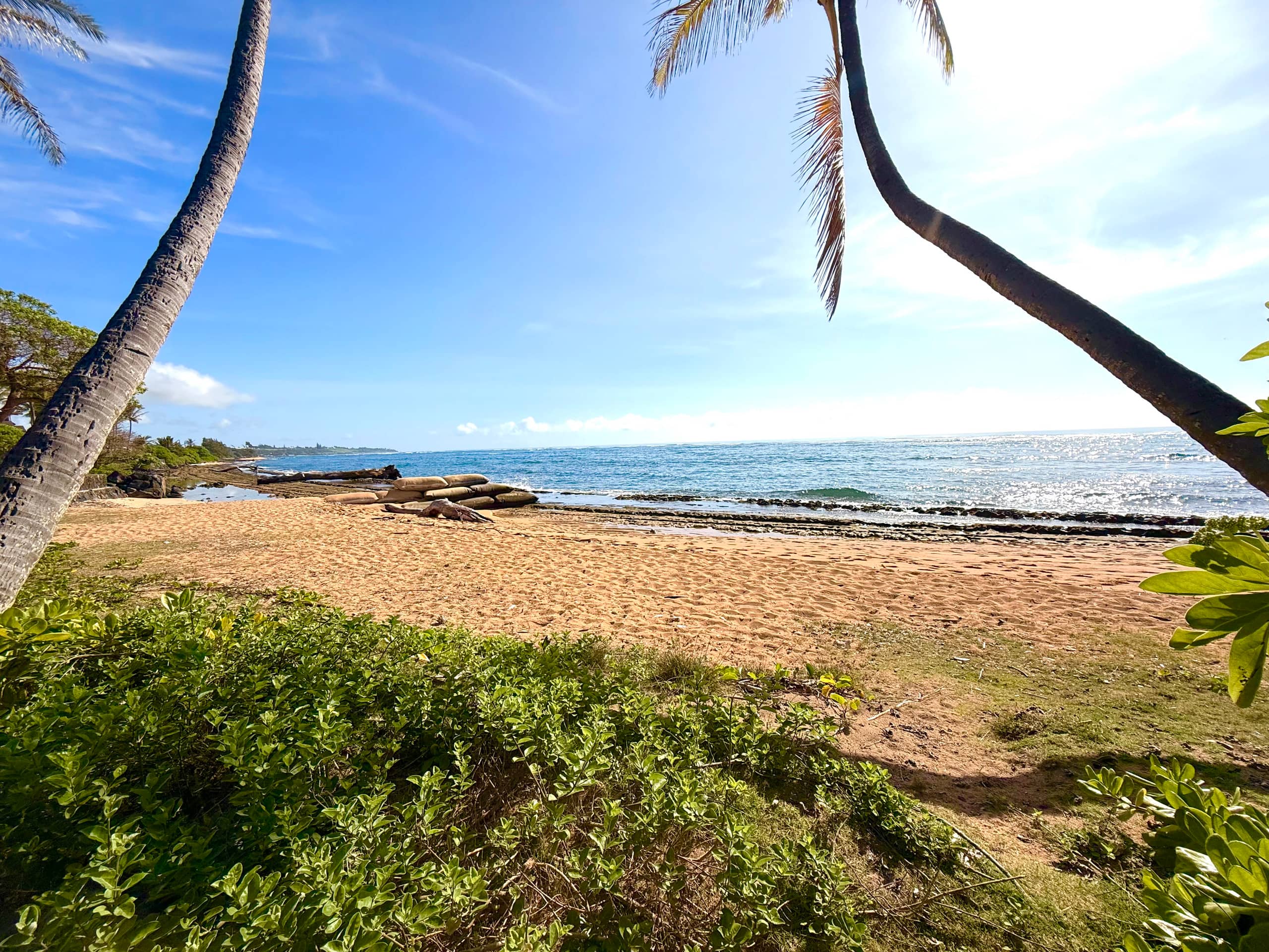 Condo in Kapaa · ★5.0 · 2 bedrooms · 4 beds · 1 private bath - Image 26