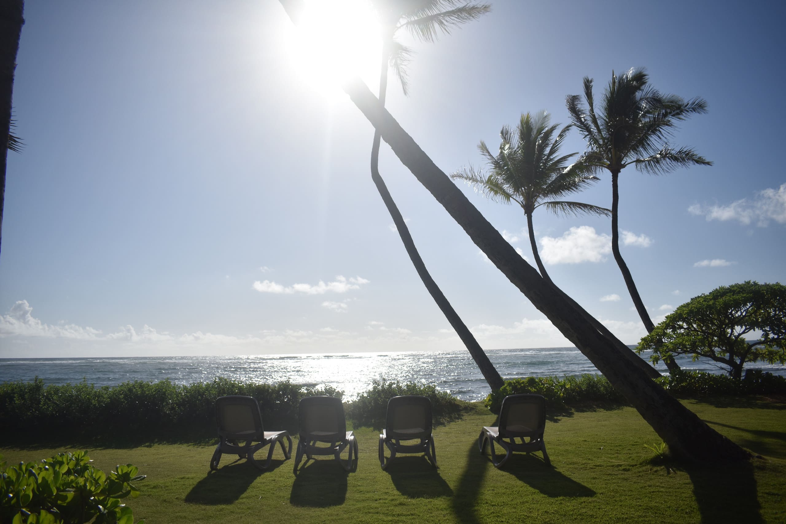 Condo in Kapaa · ★5.0 · 2 bedrooms · 4 beds · 1 private bath - Image 32