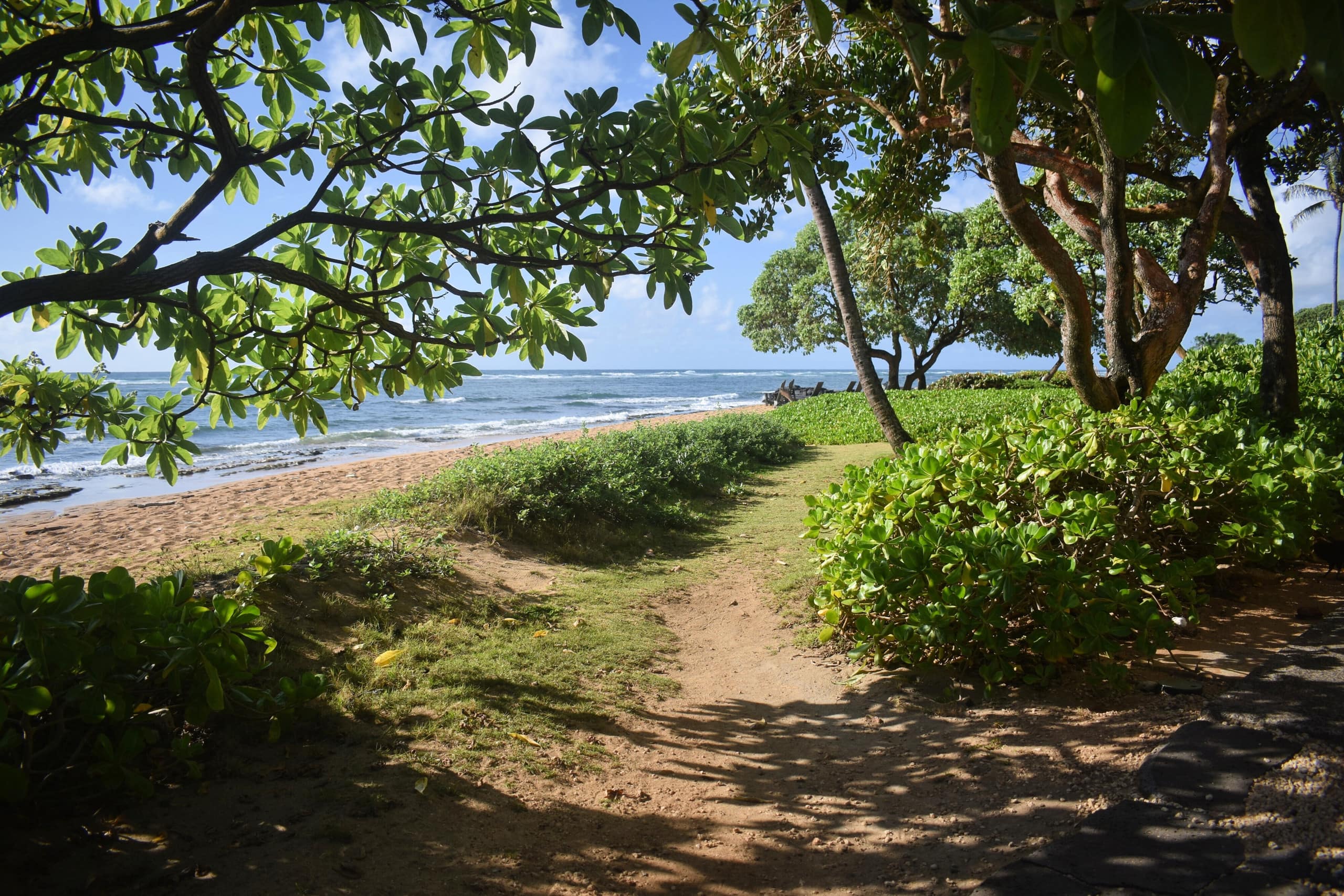 Condo in Kapaa · ★5.0 · 2 bedrooms · 4 beds · 1 private bath - Image 33