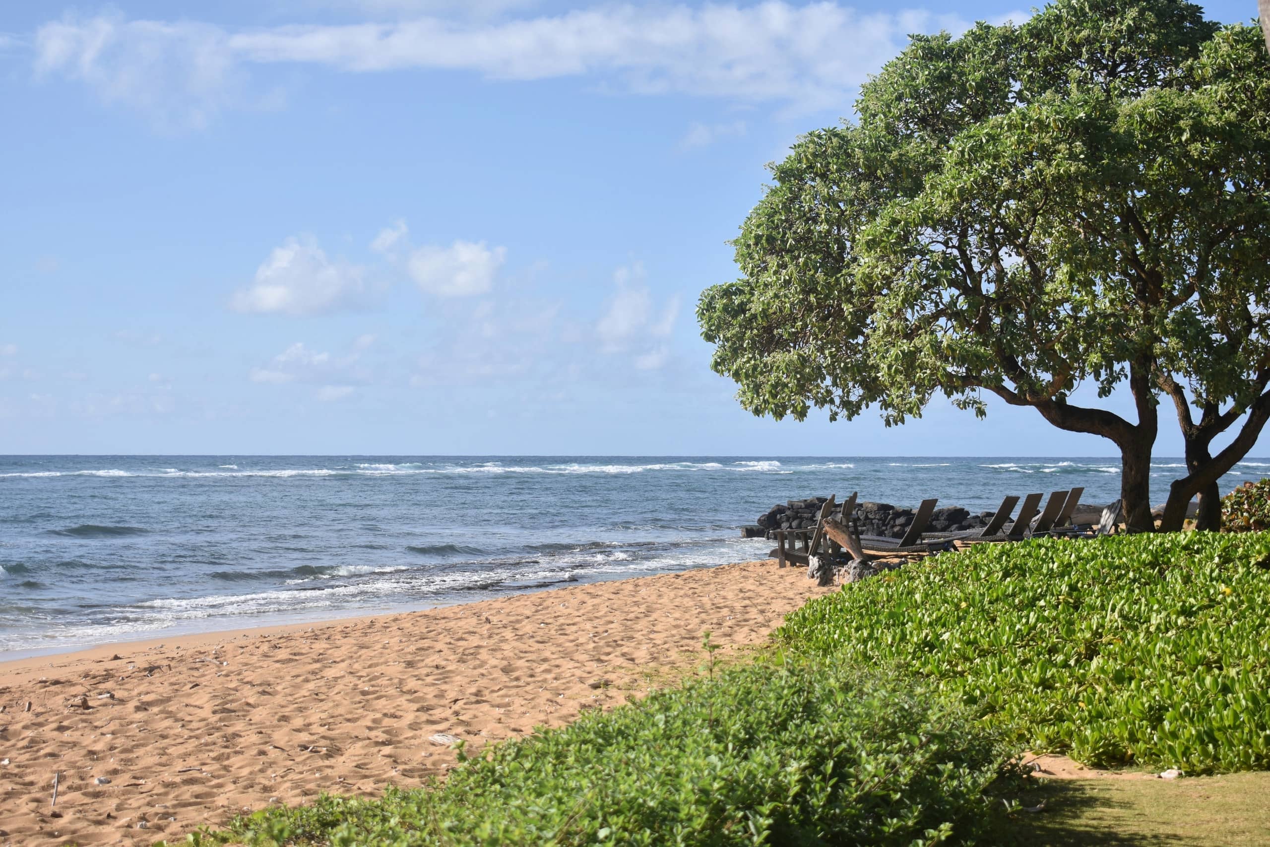 Condo in Kapaa · ★5.0 · 2 bedrooms · 4 beds · 1 private bath - Image 35