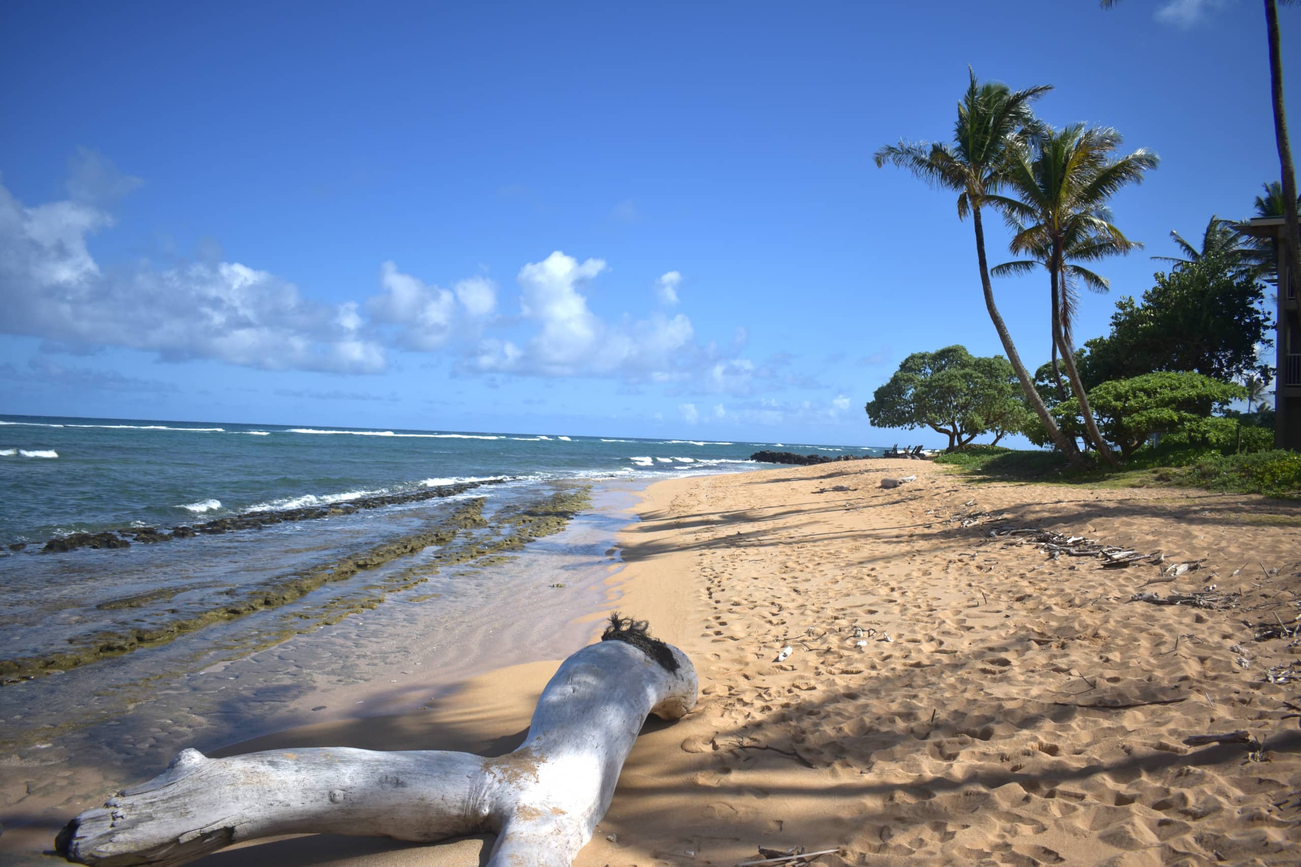 Condo in Kapaa · ★5.0 · 2 bedrooms · 4 beds · 1 private bath - Image 30