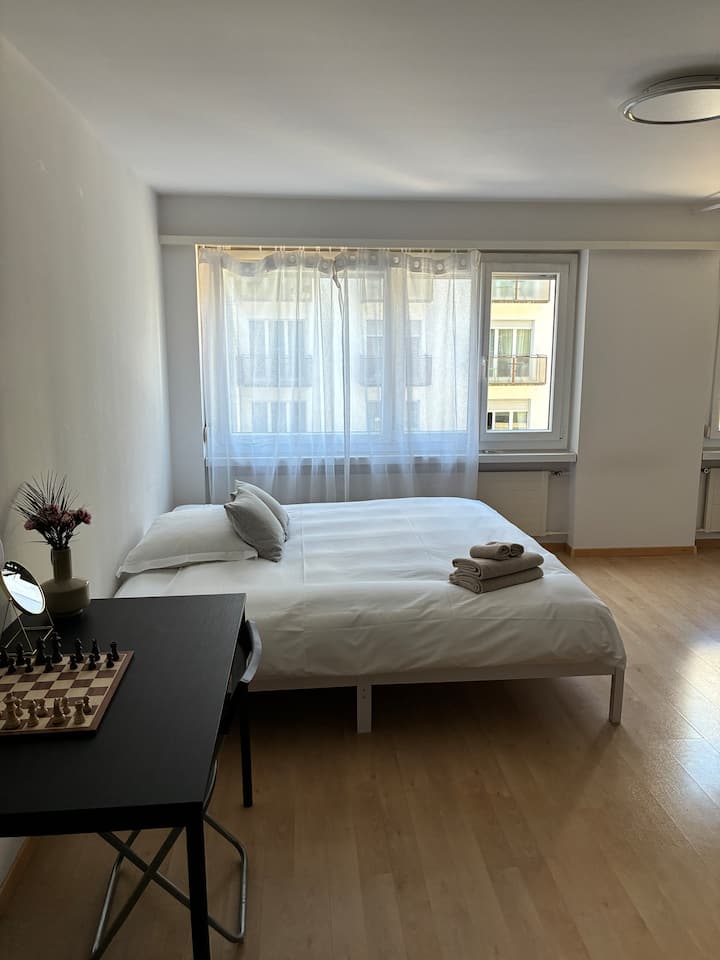 Super Centric Studio In Zurich City - Zürich