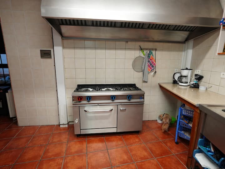 Fogones de gas y campana de acero: potencia de cocina profesional