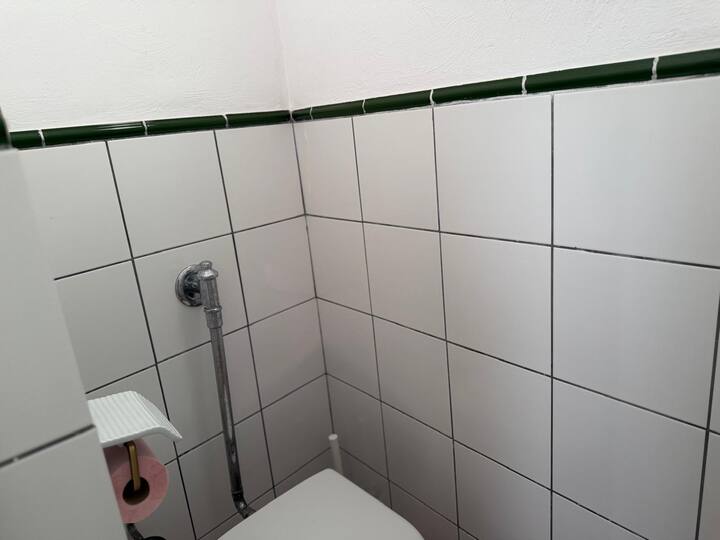 Ducha del aseo: sencilla, impecable y siempre con agua caliente