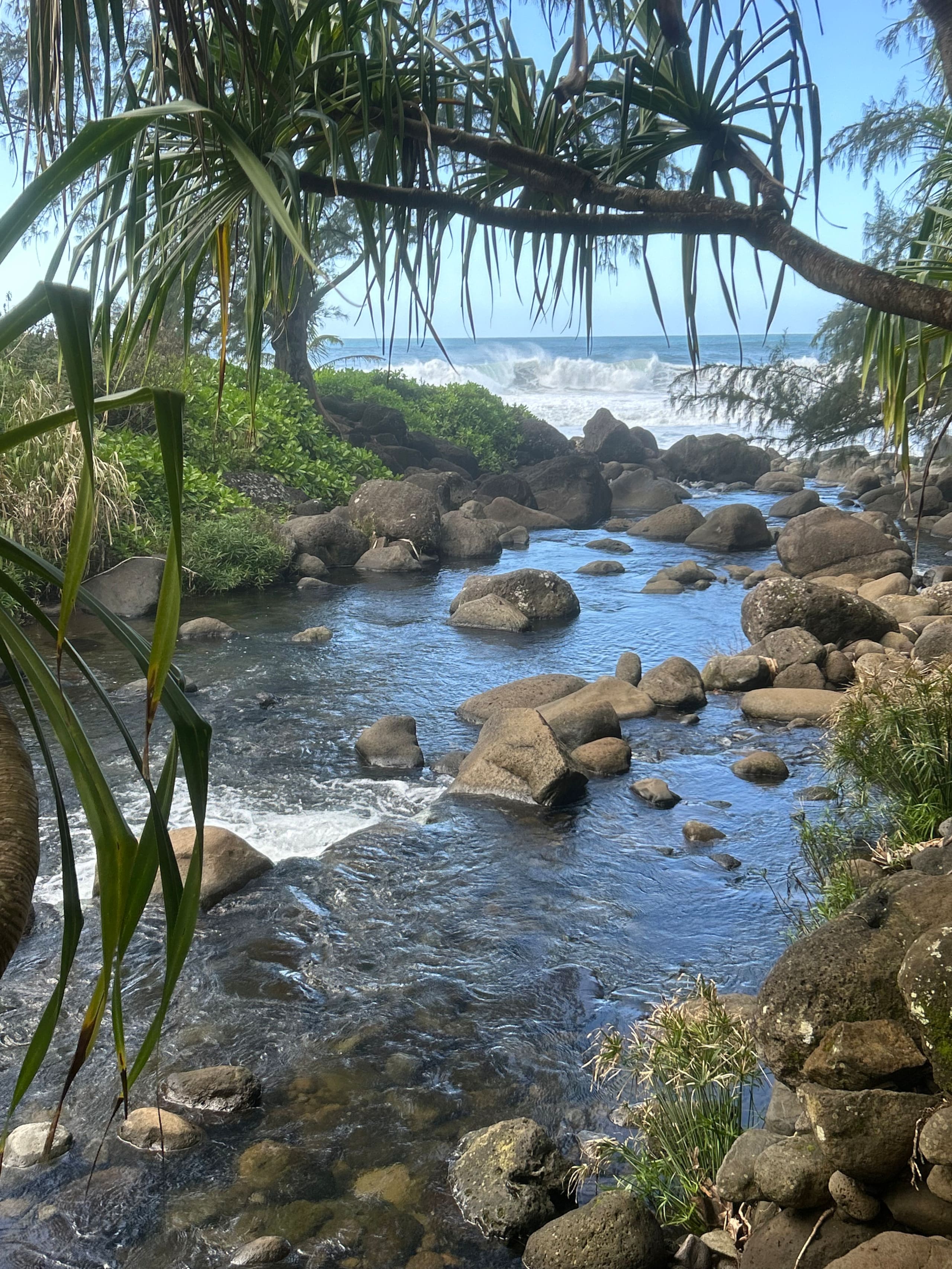 Princeville 2 bdrm 1.5 bath near Hanalei, sleeps 6 - Photo 31