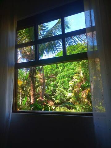 Anúncio favorito dos hóspedes em Ubatuba