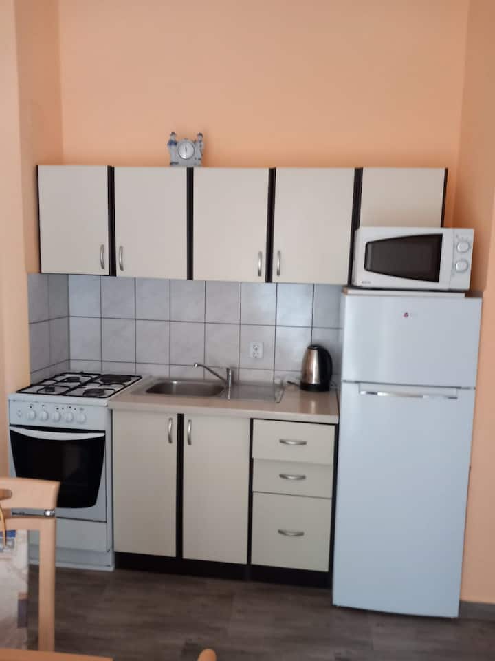 Apartment Mihalic 2 - Vir