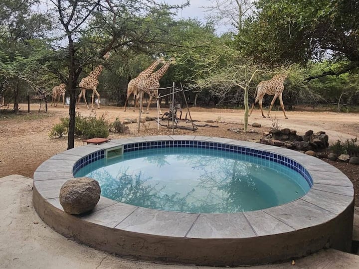 3-bedroom Holiday Home - Marloth Park