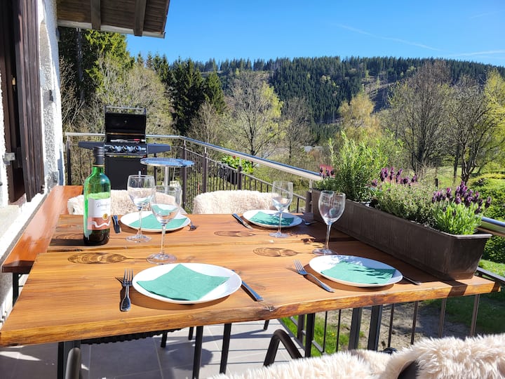 Falkau Paradies Bis 8 P Sauna Grill, Wald Und Ruhe - Titisee-Neustadt