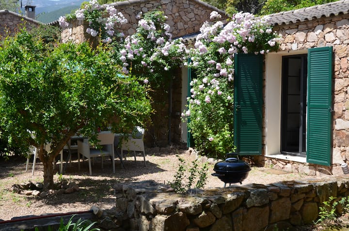 Charmante Mini-villa Avec Terrasse-jardin - Lecci